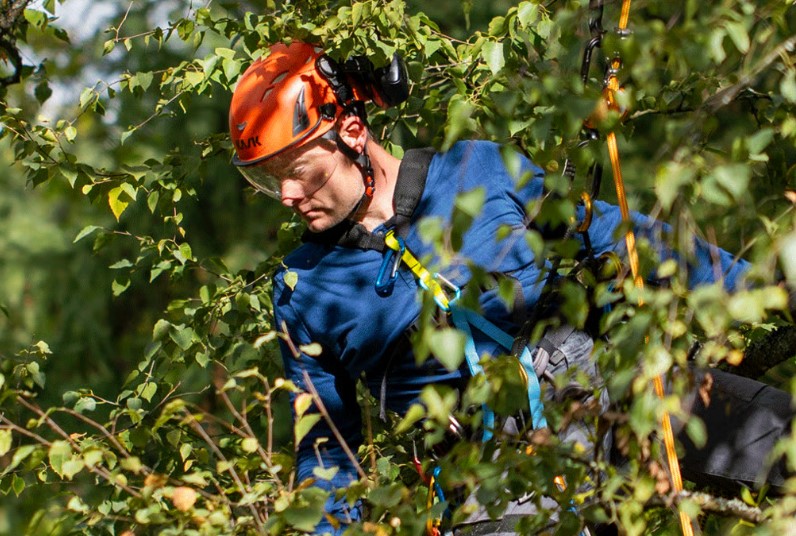 wycinka drzew warszawa